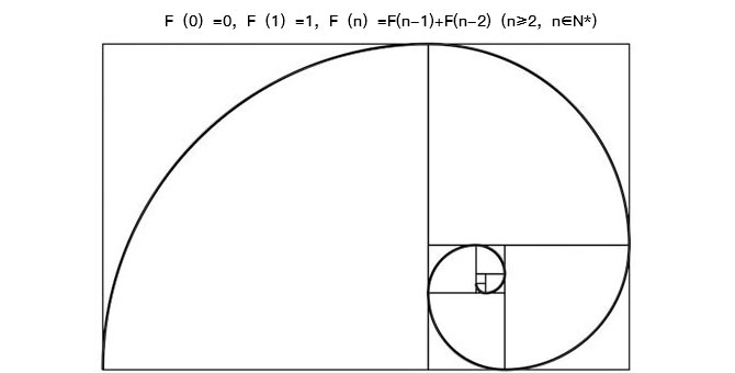 斐波那契螺旋线：黄金比例的实际应用