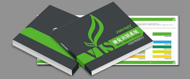 VI设计