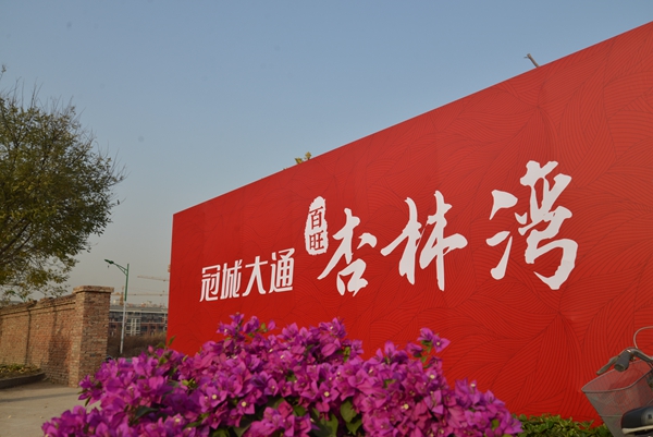 杏林湾