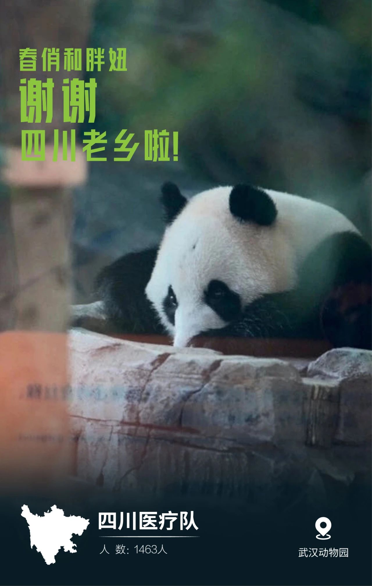 31张驰援武汉医疗队名片，向抗疫一线的英雄致敬