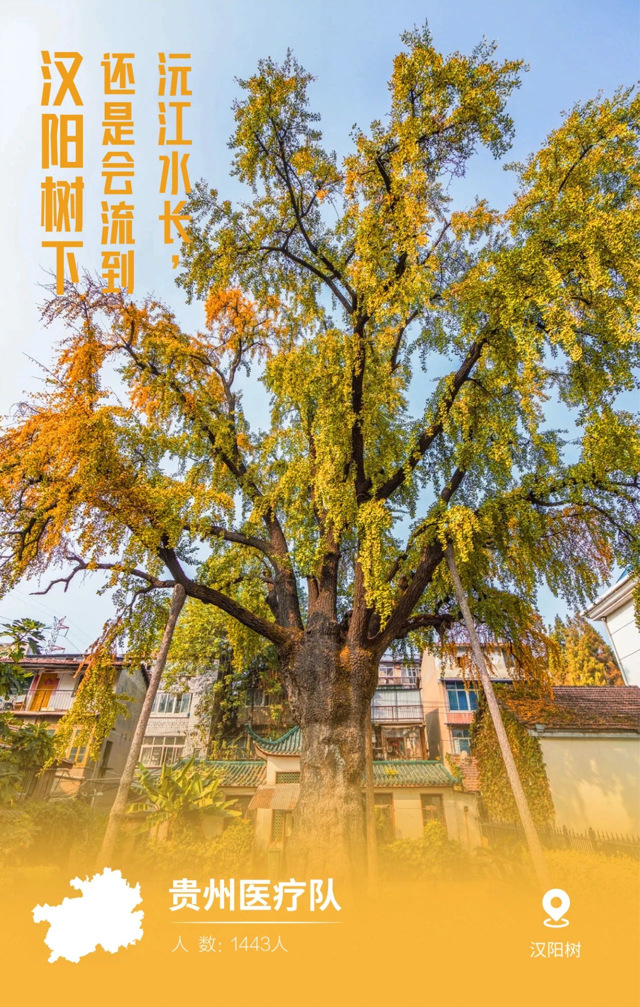 31张驰援武汉医疗队名片，向抗疫一线的英雄致敬
