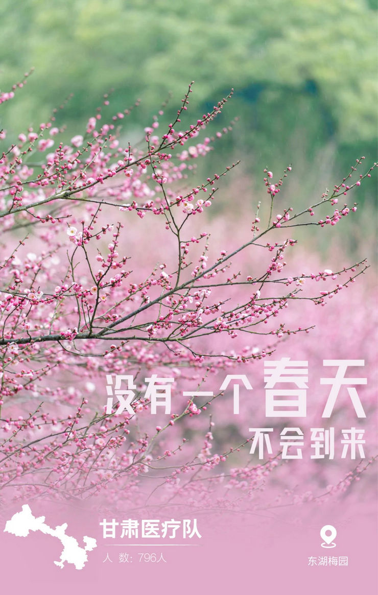 31张驰援武汉医疗队名片，向抗疫一线的英雄致敬